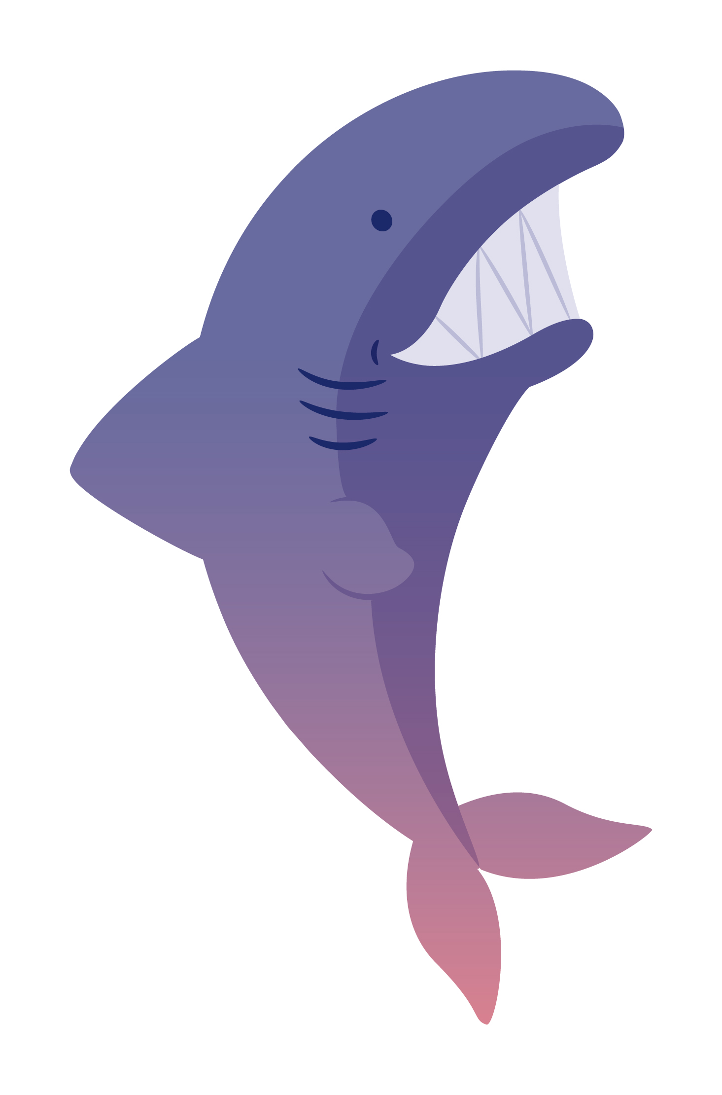 Shark graphic